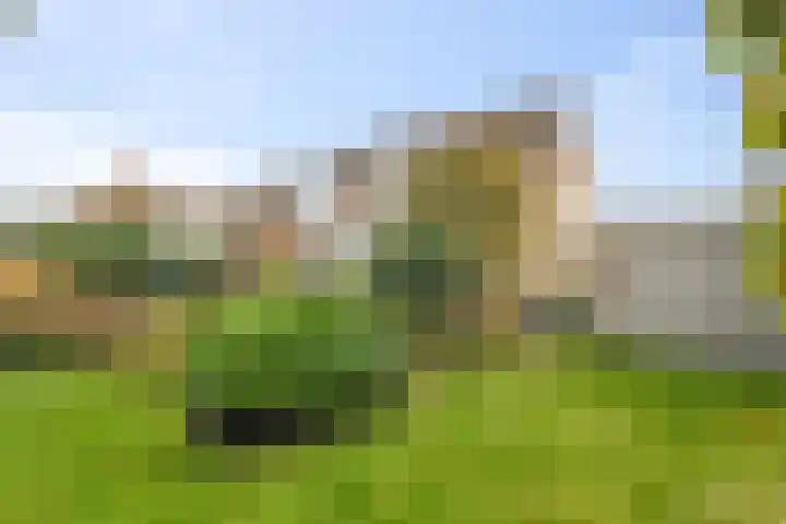 Vogelzand 2125 Julianadorp thumbnail 35