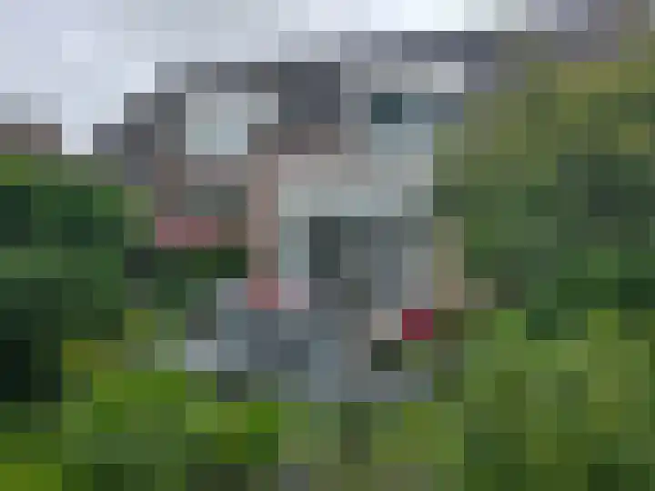 Vogelzand 2125 Julianadorp thumbnail 36