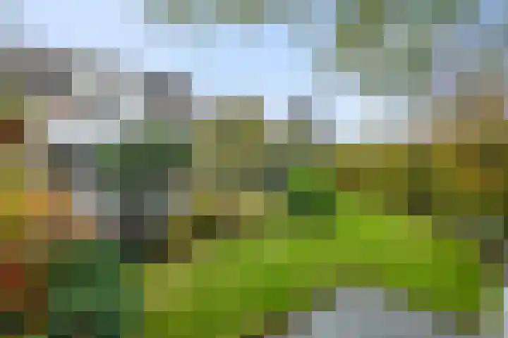 Vogelzand 2125 Julianadorp thumbnail 37