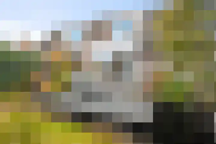 Vogelzand 2125 Julianadorp thumbnail 38