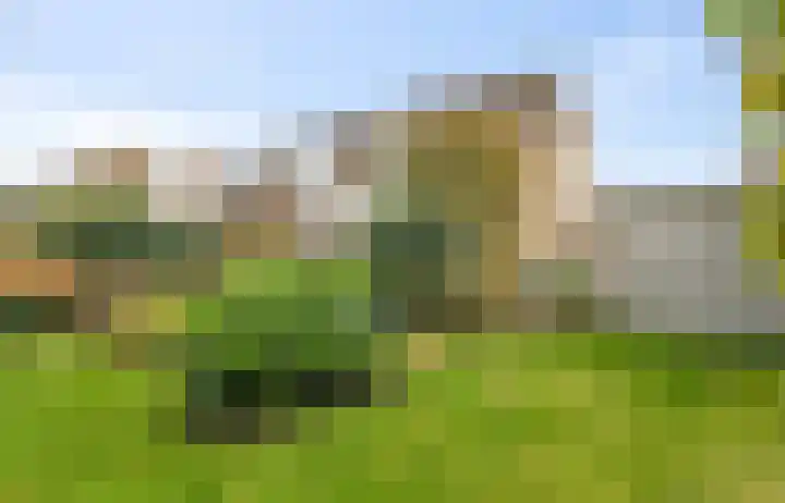 Vogelzand 2125 Julianadorp thumbnail 4