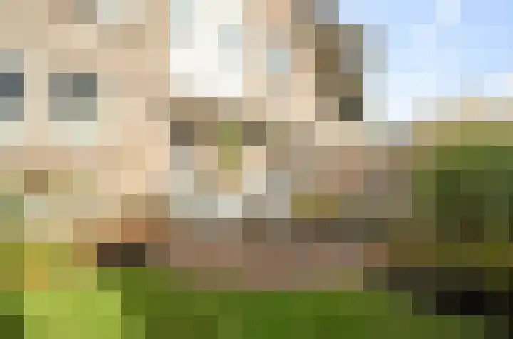 Vogelzand 2125 Julianadorp thumbnail 5