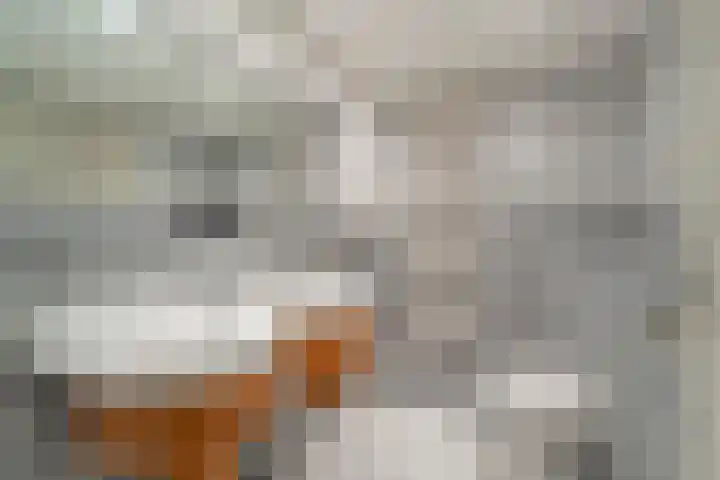 Vogelzand 2223 Julianadorp thumbnail 23