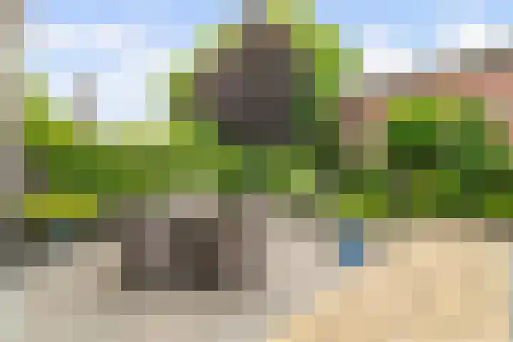 Vogelzand 2223 Julianadorp thumbnail 28