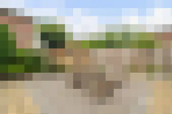 Vogelzand 2223 Julianadorp thumbnail 29