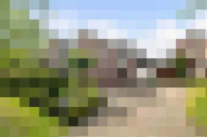 Vogelzand 2223 Julianadorp thumbnail 34
