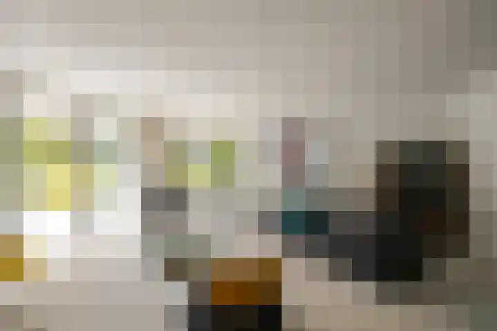 Vogelzand 2270 Julianadorp thumbnail 11