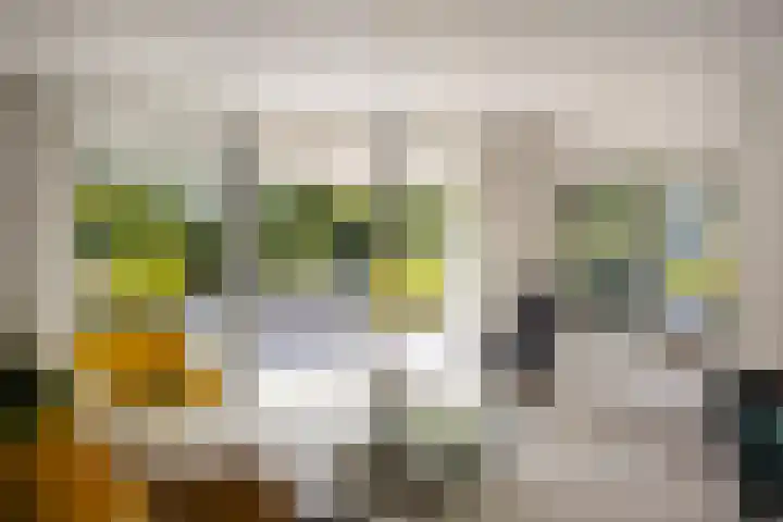 Vogelzand 2270 Julianadorp thumbnail 14
