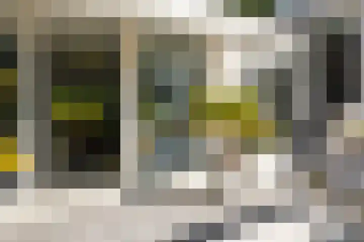 Vogelzand 2270 Julianadorp thumbnail 15