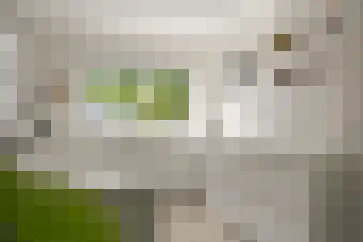 Vogelzand 2270 Julianadorp thumbnail 16