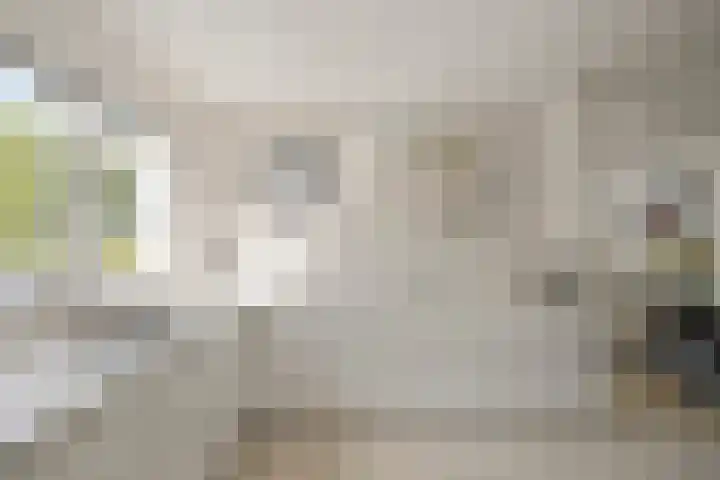 Vogelzand 2270 Julianadorp thumbnail 18