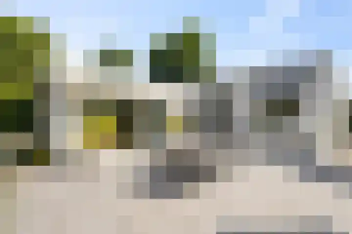 Vogelzand 2270 Julianadorp thumbnail 33