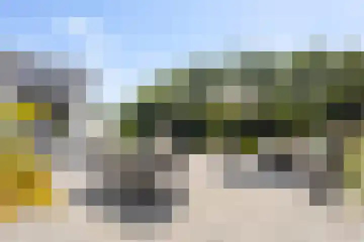 Vogelzand 2270 Julianadorp thumbnail 34