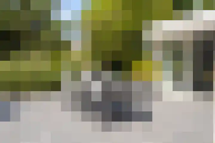 Vogelzand 2270 Julianadorp thumbnail 35