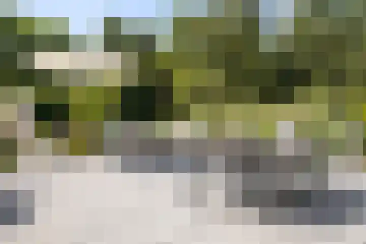 Vogelzand 2270 Julianadorp thumbnail 36