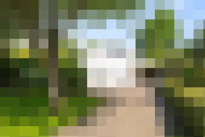Vogelzand 2270 Julianadorp thumbnail 39