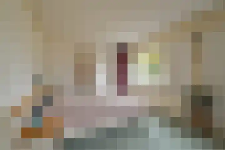Vogelzand 2303 Julianadorp thumbnail 11