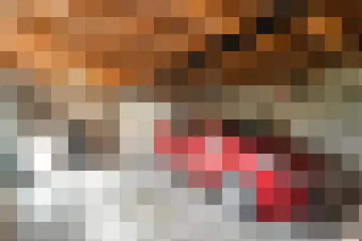 Vogelzand 2303 Julianadorp thumbnail 26