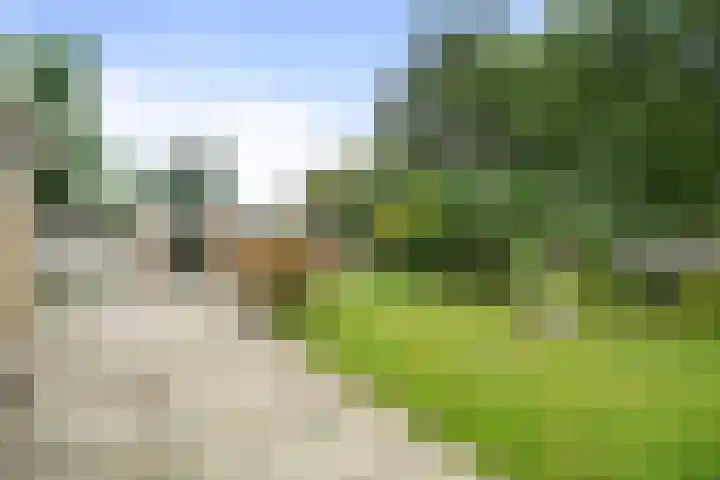 Vogelzand 2303 Julianadorp thumbnail 28