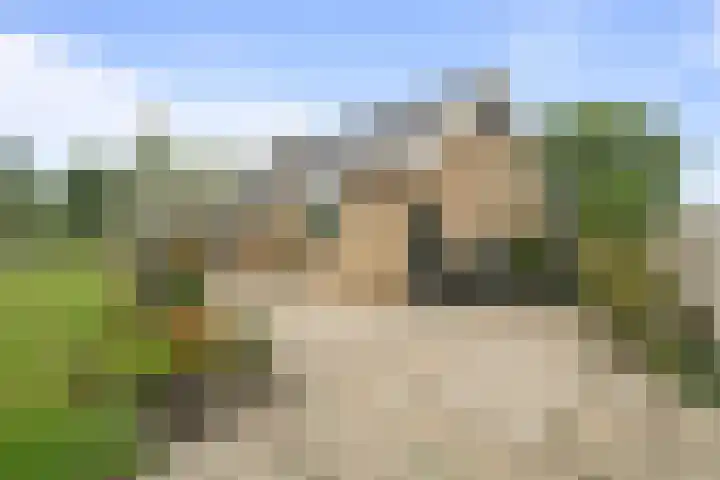 Vogelzand 2303 Julianadorp thumbnail 29