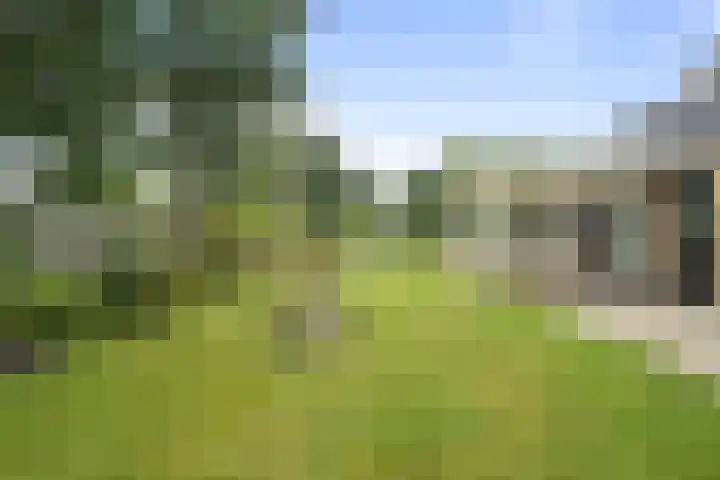 Vogelzand 2303 Julianadorp thumbnail 30