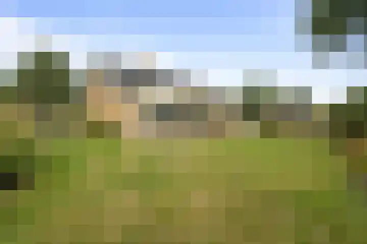 Vogelzand 2303 Julianadorp thumbnail 31
