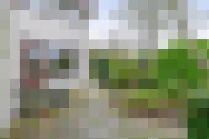 Vogelzand 2506 Julianadorp thumbnail 14