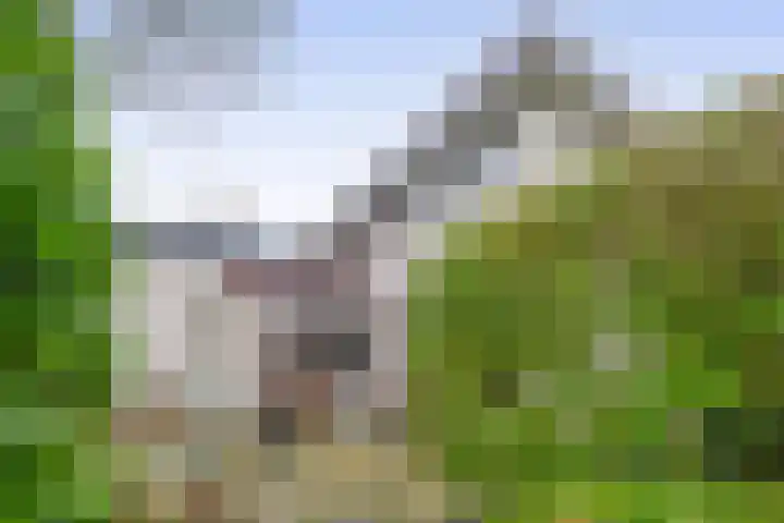 Vogelzand 2506 Julianadorp thumbnail 15