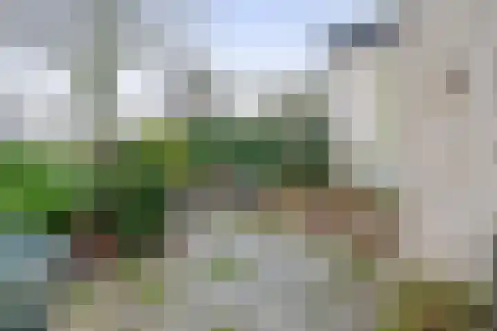 Vogelzand 2506 Julianadorp thumbnail 16