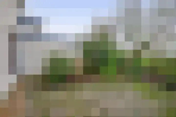 Vogelzand 2506 Julianadorp thumbnail 17