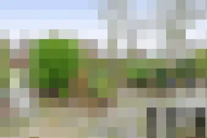 Vogelzand 2506 Julianadorp thumbnail 18