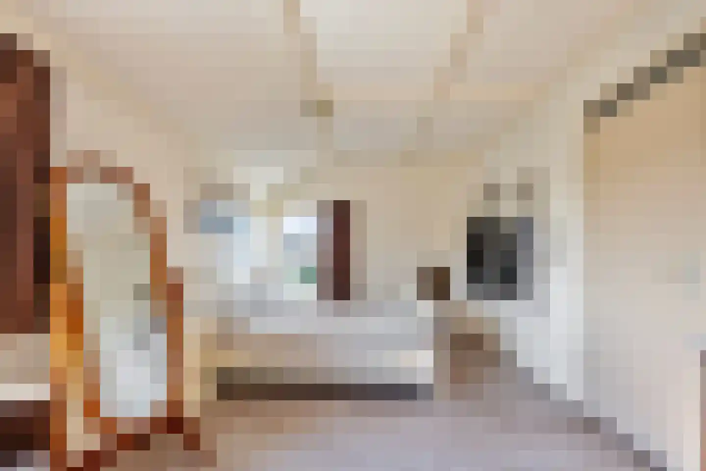 Vogelzand 2527 Julianadorp thumbnail 33