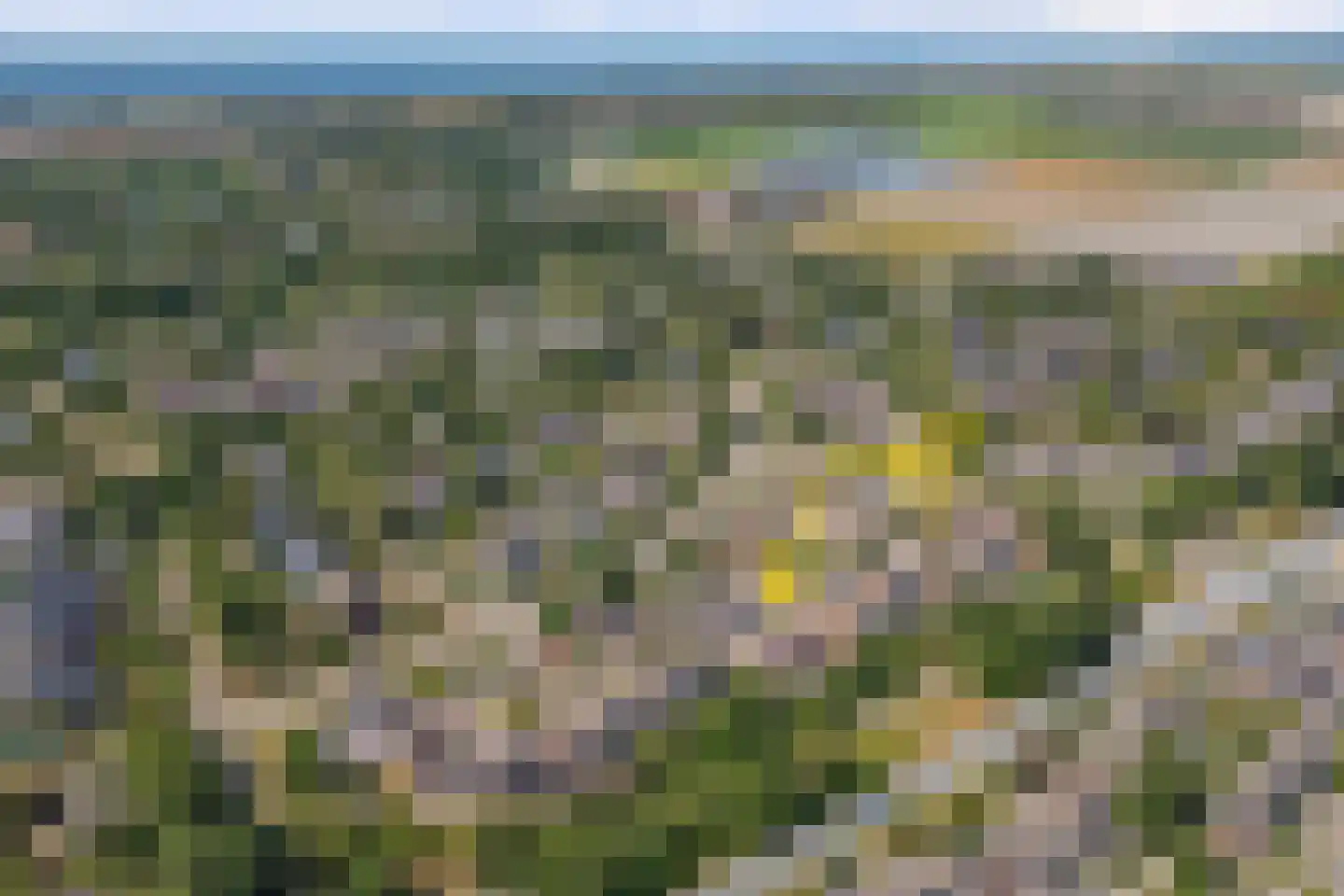 Vogelzand 2635 Julianadorp thumbnail 55