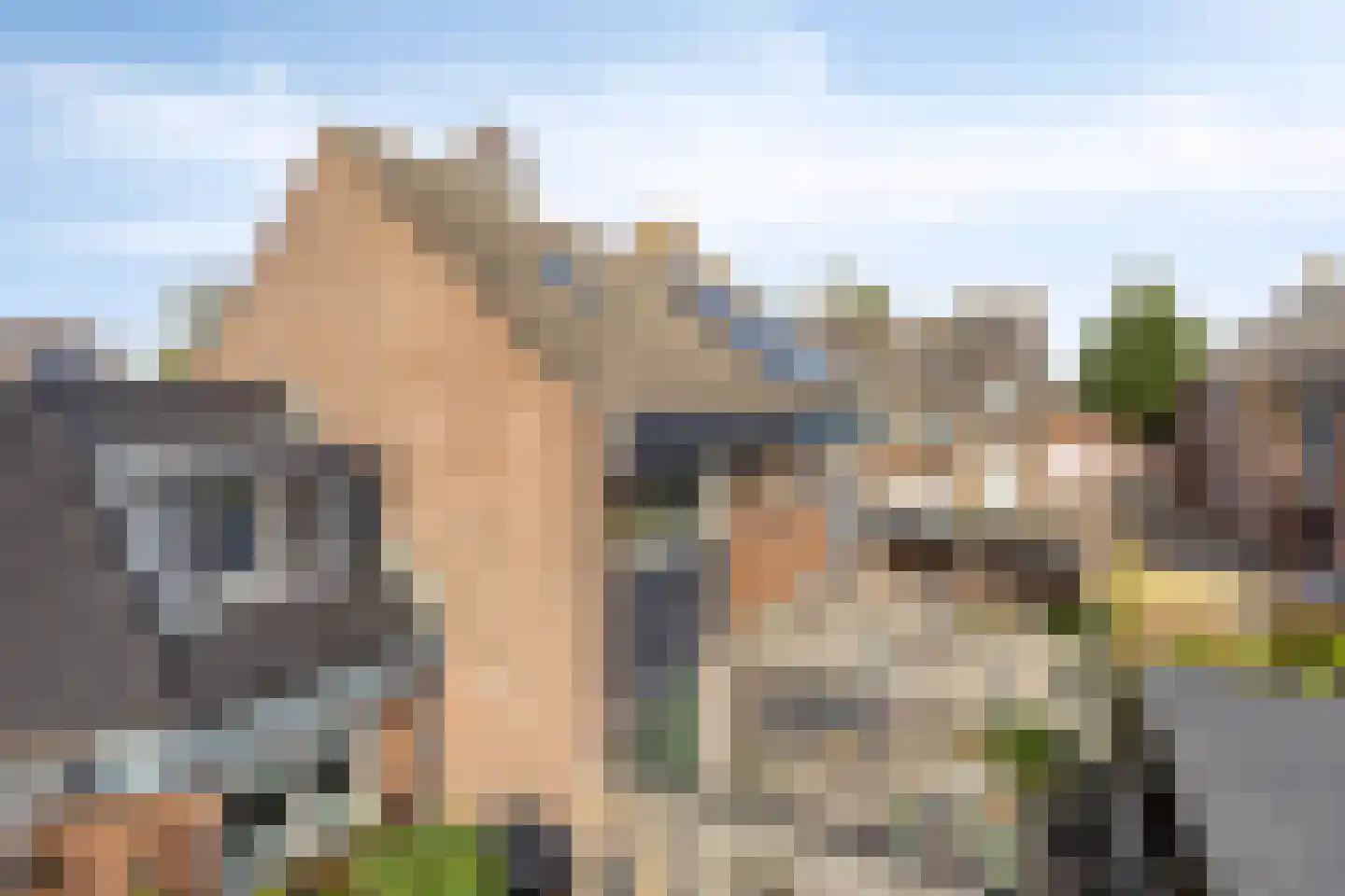 Vogelzand 2639 Julianadorp thumbnail 38