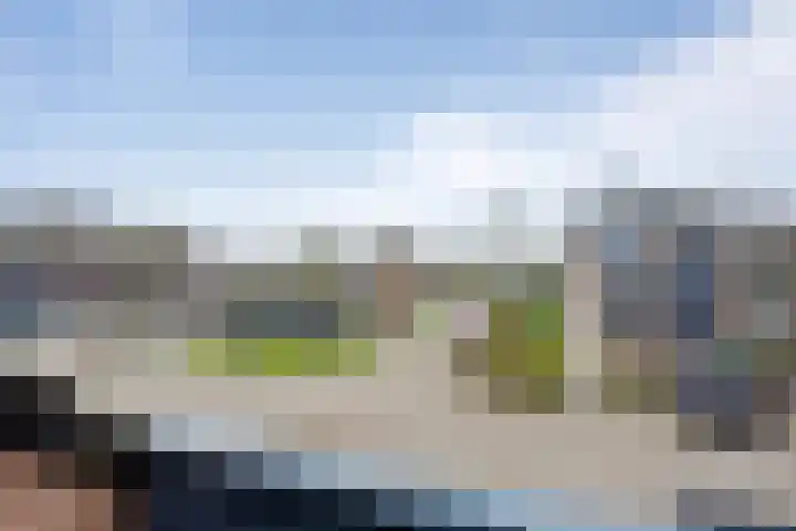 Vogelzand 2706 Julianadorp thumbnail 19