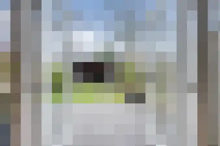 Vogelzand 2706 Julianadorp thumbnail 24