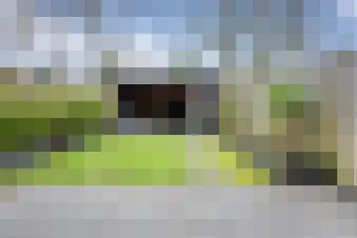 Vogelzand 2706 Julianadorp thumbnail 27
