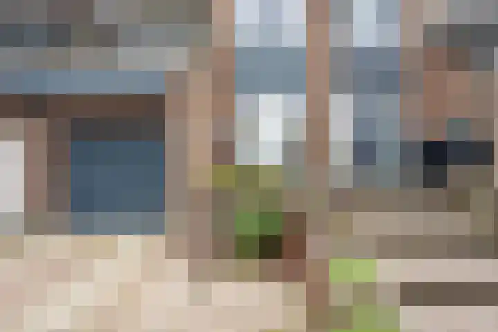 Vogelzand 2706 Julianadorp thumbnail 4