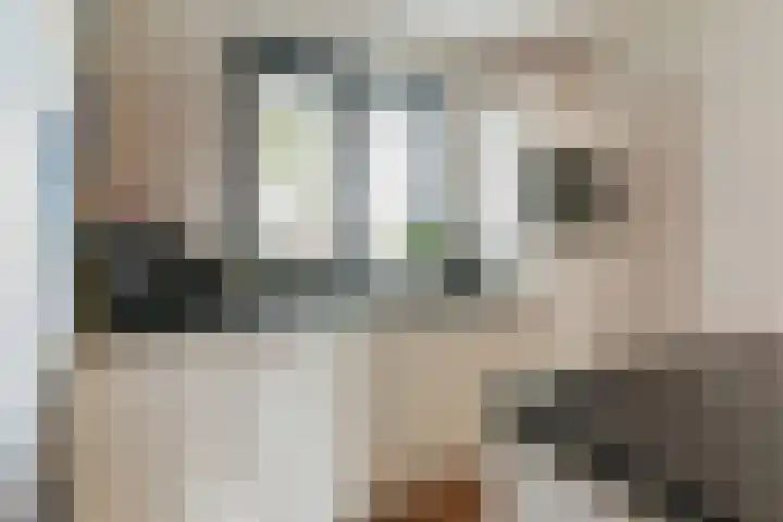 Vogelzand 3 Harderwijk thumbnail 13