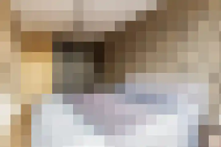 Vogelzand 3 Harderwijk thumbnail 17