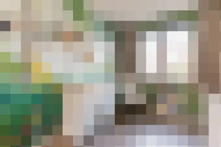 Vogelzand 3 Harderwijk thumbnail 18