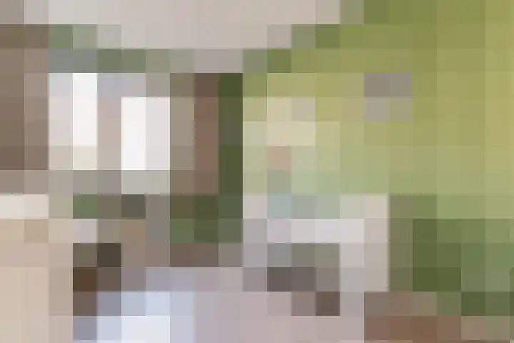 Vogelzand 3 Harderwijk thumbnail 19