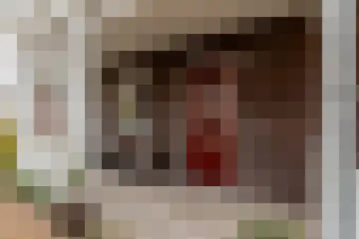 Vogelzand 3 Harderwijk thumbnail 35