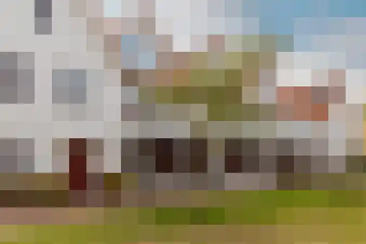 Vogelzand 3 Harderwijk thumbnail 36