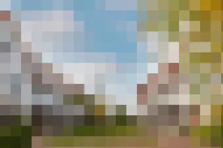 Vogelzand 3 Harderwijk thumbnail 37