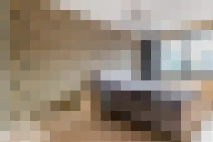 Vogelzand 3 Harderwijk thumbnail 5