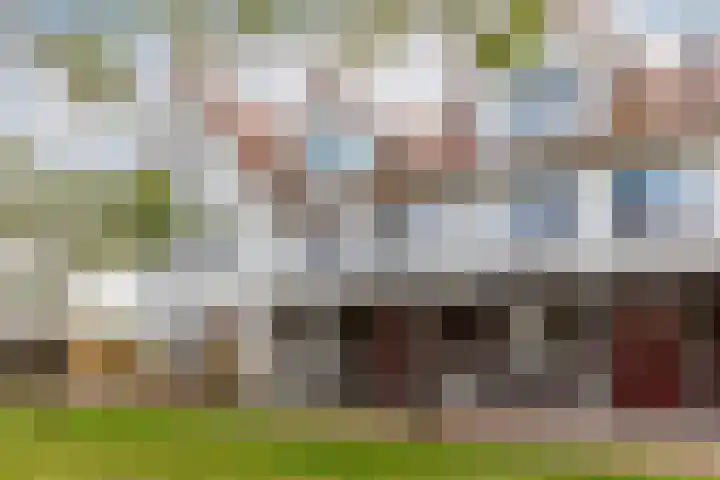 Vogelzand 3 Harderwijk thumbnail 7