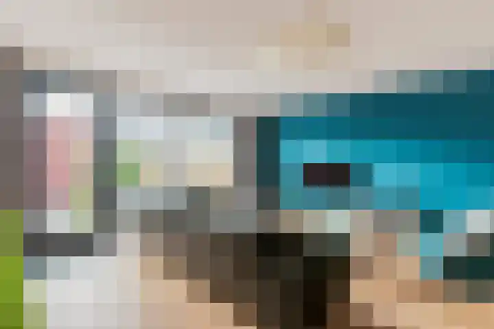 Vogelzand 3 Harderwijk thumbnail 9