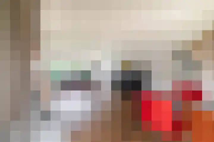 Vogelzand 3102 Julianadorp thumbnail 11