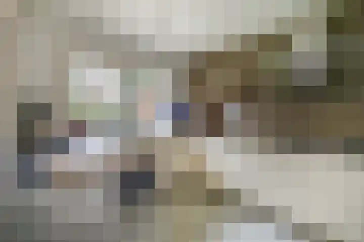 Vogelzand 3102 Julianadorp thumbnail 12